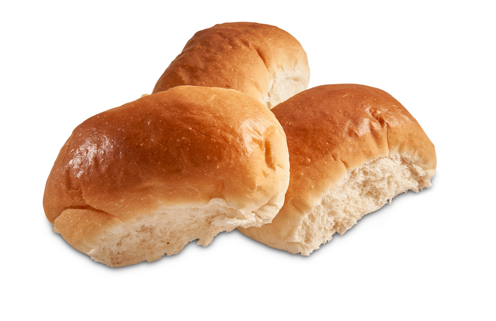 02068-Grote-Witte-Puntjes-1__1_.png