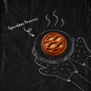 NIEUW: Speculaas Pencees ✨
